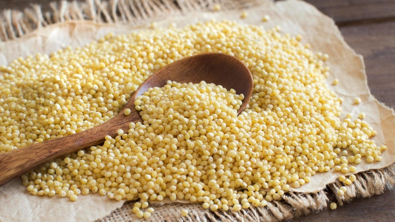 Hạt kê có tác dụng hỗ trợ ngăn ngừa ung thư