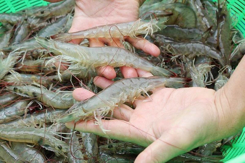 Giải đáp thắc mắc: Ăn hạt nêm có tốt không? 3