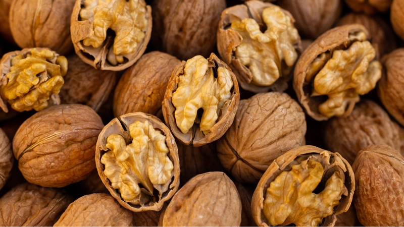 Hạt óc chó giàu omega 3 có lợi có não bộ