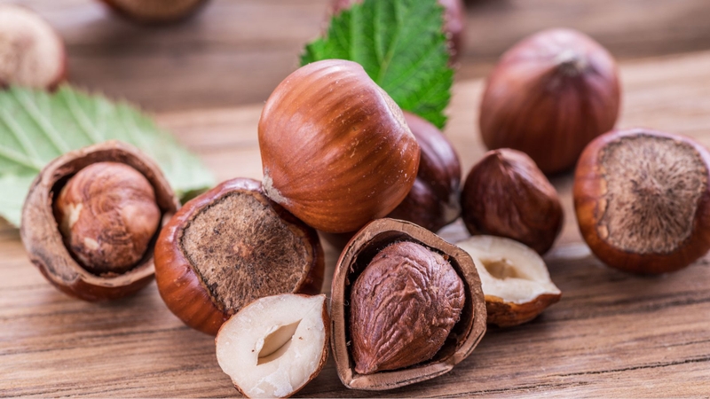 Hạt phỉ cung cấp vitamin E và chất béo tốt, góp phần bảo vệ tim mạch