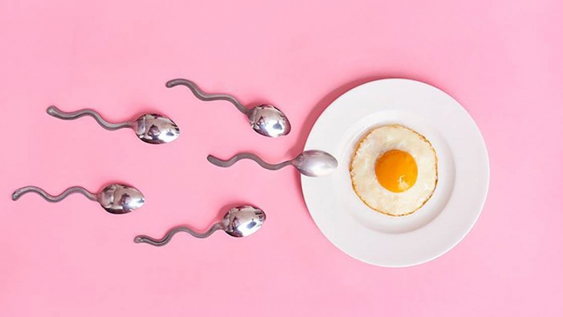 Cơ chế tránh thai hiệu quả từ thực phẩm