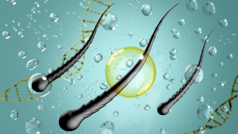 Mối liên hệ giữa dinh dưỡng và mái tóc chắc khỏe