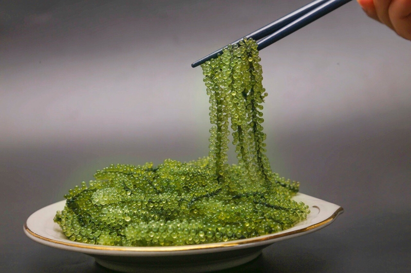 Ăn rong nho vào thời điểm nào là tốt nhất 2