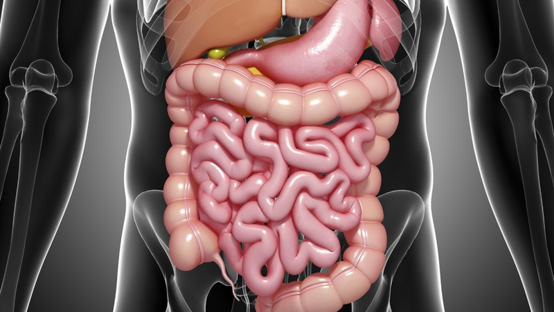 Nên ăn súp lơ xanh hay súp lơ trắng? Lựa chọn nào tốt hơn cho sức khỏe? 3