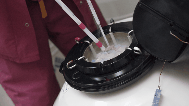 Chuyển phôi trữ đông được ưu tiên khi người bệnh cần thời gian điều trị bệnh lý tử cung, ổn định nội tiết