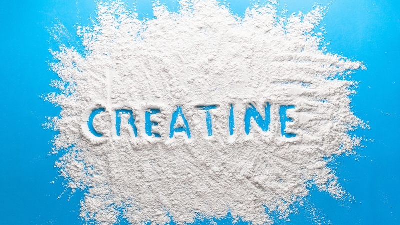Cơ chế hoạt động của Whey và Creatine