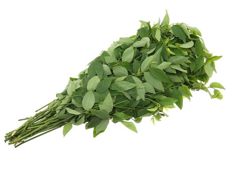 [NÊN HAY KHÔNG] sử dụng rau ngót chữa rong kinh? Vì sao? 2