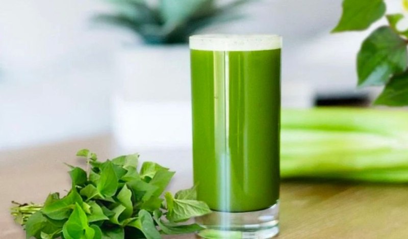 Nên uống bột diếp cá vào lúc nào để đạt hiệu quả tốt nhất? 2