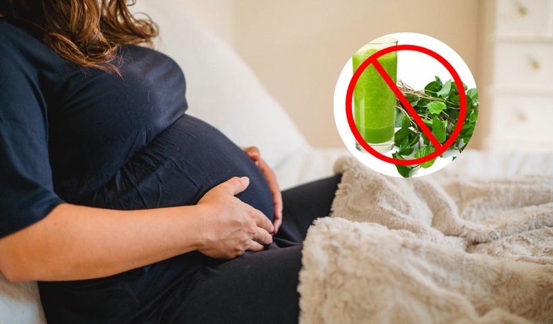 Nên uống bột diếp cá vào lúc nào để đạt hiệu quả tốt nhất? 3