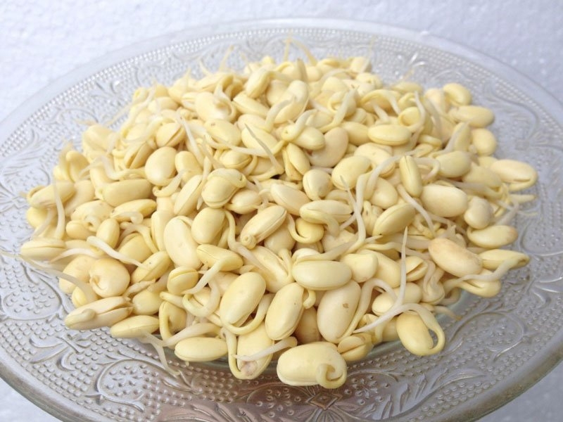 Nên uống collagen hay mầm đậu nành: Loại nào tốt cho da? 2