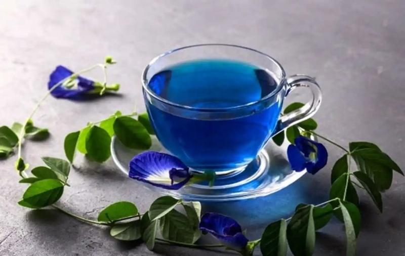 Uống hoa đậu biếc lúc nào tốt nhất?