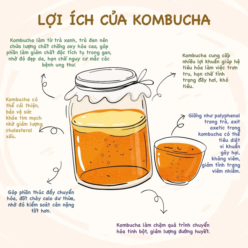 Nên uống kombucha vào lúc nào để tốt nhất cho sức khỏe? 2