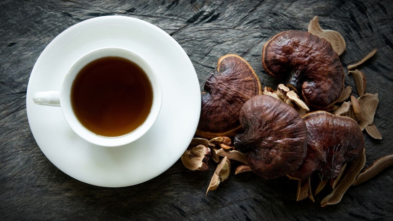 Tìm hiểu nên uống nấm linh chi trong bao lâu trước khi dùng là cần thiết