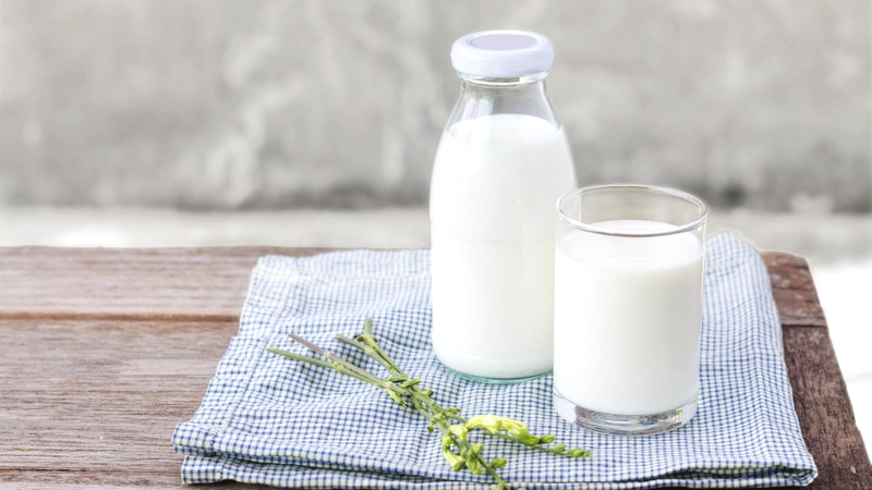 Nên uống sữa sáng hay tối: Đâu là thời điểm thích hợp uống sữa? 2