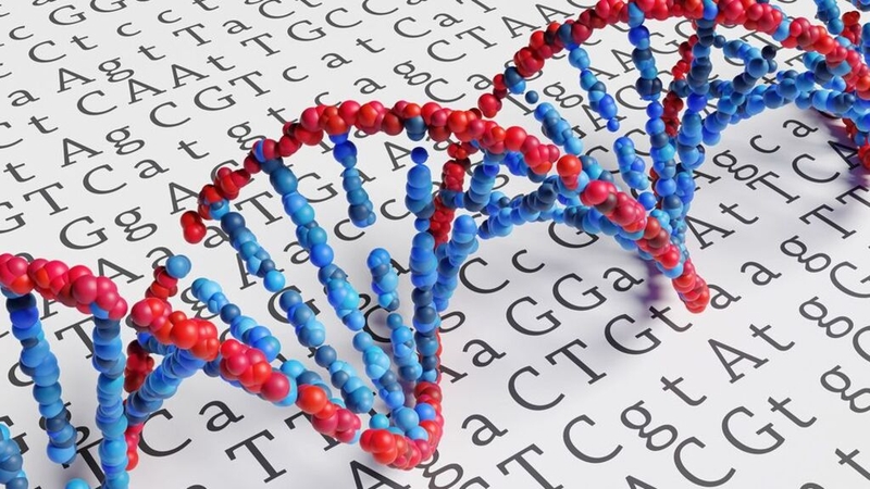 Next generation sequencing là gì? Những điều cần biết về next generation sequencing 1