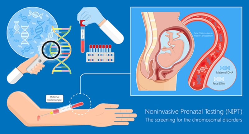 Next generation sequencing là gì? Những điều cần biết về next generation sequencing 3