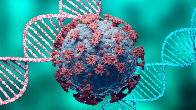 Next generation sequencing là gì? Những điều cần biết về next generation sequencing 4