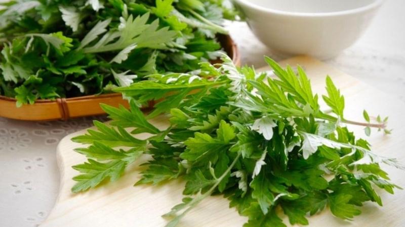 Bạn có thể sử dụng ngải cứu để làm ấm cơ thể và cải thiện triệu chứng cảm lạnh