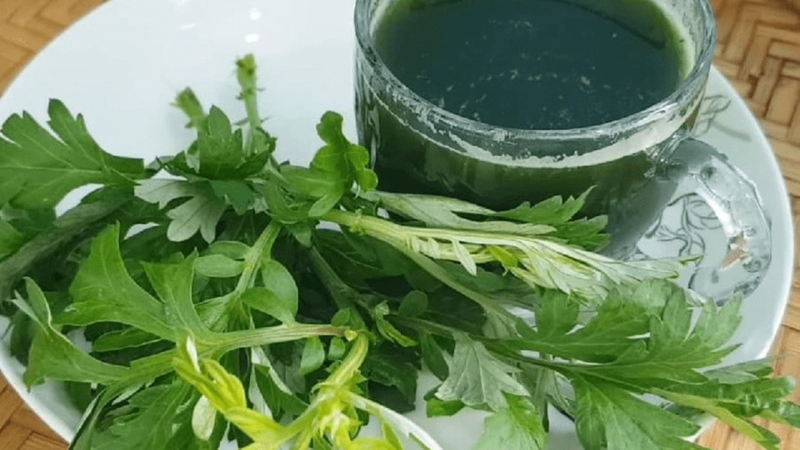 Bạn nên tránh ăn quá nhiều ngải cứu trong thời gian dài