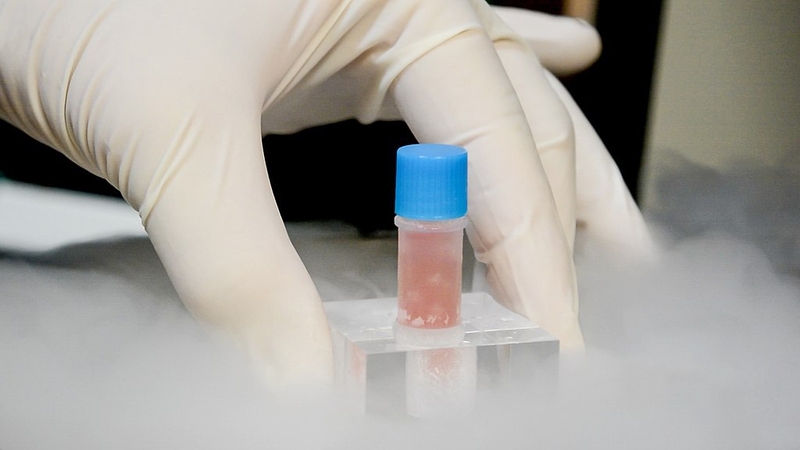 ngan-hang-mo-hoi-tho-cua-hy-vong-cho-tuong-lai-y-hoc (1).jpg