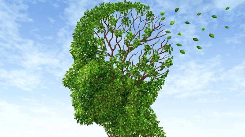 Nghiên cứu cho thấy bất bình đẳng xã hội ảnh hưởng đến quá trình lão hóa não và chứng mất trí 1