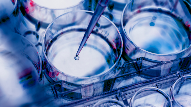 Nghiên cứu mang lại hy vọng cho sự phát triển vắc xin phòng bệnh giang mai 2