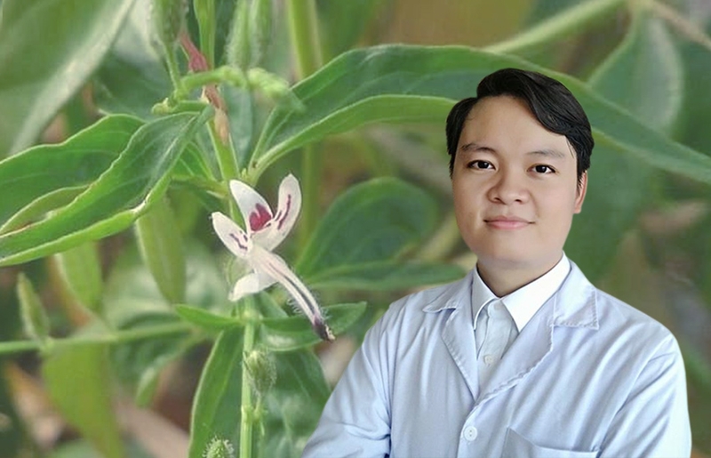 Nghiên cứu sử dụng xuyên tâm liên trong hỗ trợ điều trị Covid 3