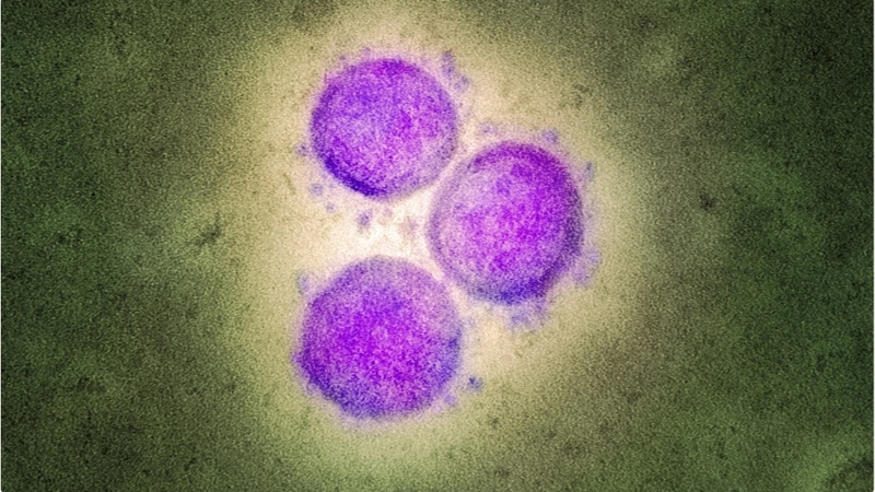 Nghiên cứu xác nhận không có mối liên quan giữa COVID-19 và hen suyễn ở trẻ em 3