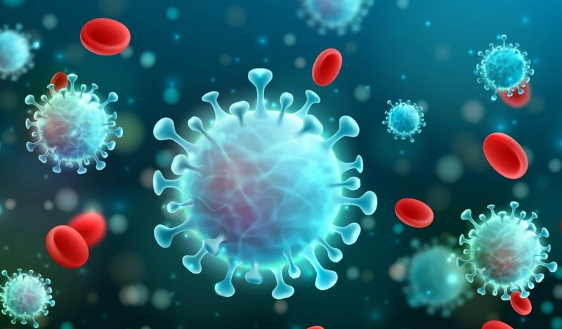 Nghiệm pháp co cục máu là gì? Các bước tiến hành co cục máu 1