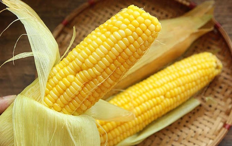 nguoi-bi-benh-tieu-duong-co-an-bap-ngo-duoc-khong-2