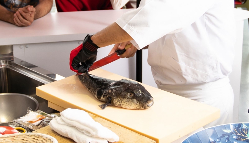 ngộ độc cá nóc 2