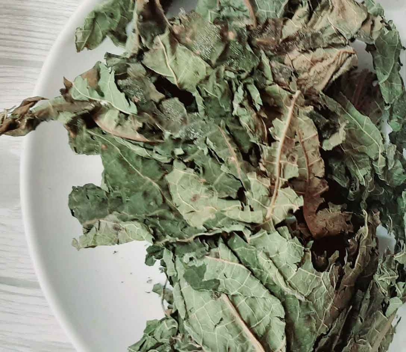 Lá đu đủ khô không chỉ giúp loại bỏ vị đắng mà còn giảm thiểu sự hiện diện của nhựa trong nước