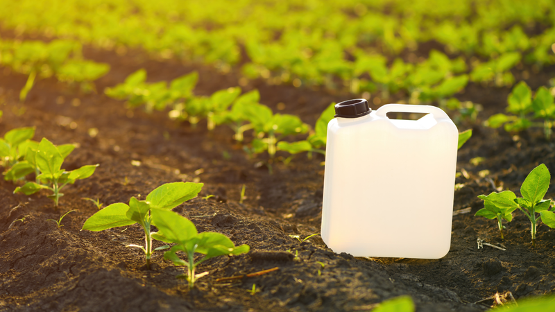 Ngộ độc Paraquat do vô tình hoặc cố ý uống hoá chất độc hại này