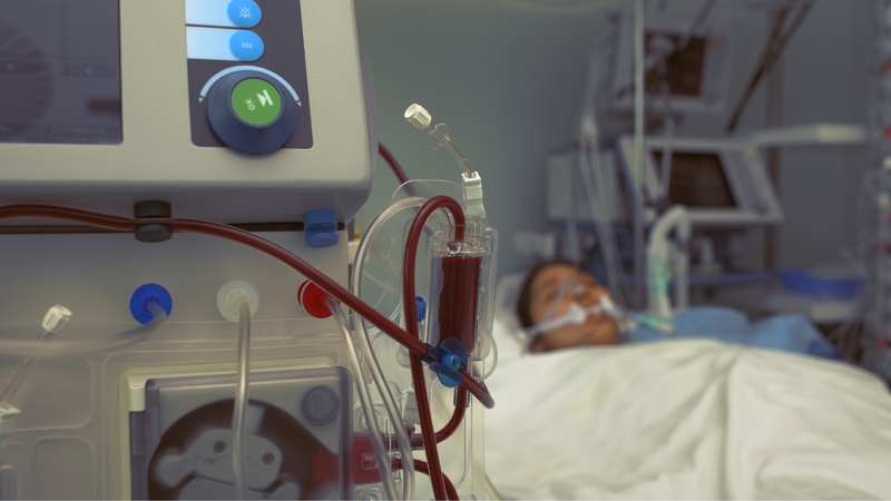 Paraquat được hấp thu rất nhanh qua ruột non, khiến ngộ độc tiến triển nhanh và khó kiểm soát