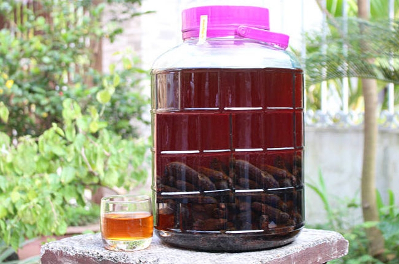 Ngộ độc rượu chuối hột và những điều có thể bạn chưa biết 2