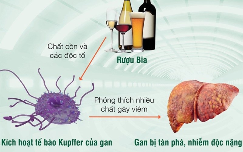 Ngộ độc rượu có nguy hiểm không? 1