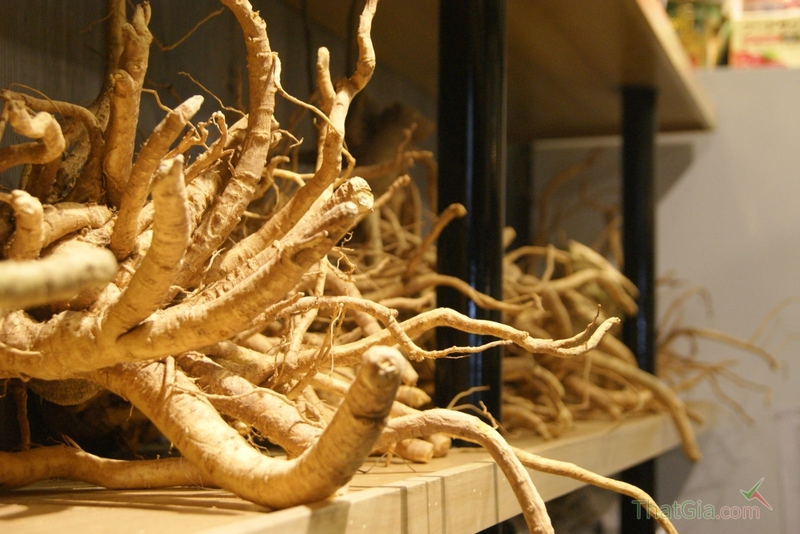 ngộ độc rượu đinh lăng 3