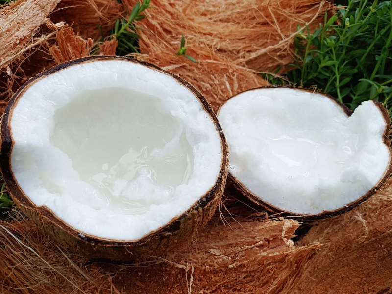 Sự nguy hiểm của ngộ độc rượu dừa 5