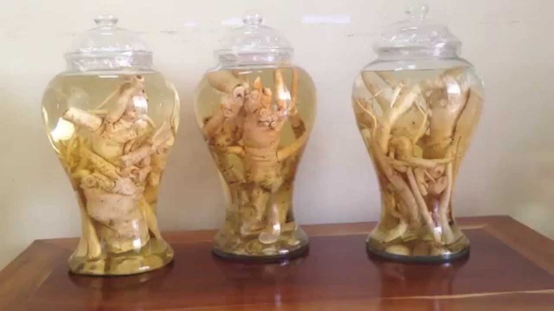 ngộ độc rượu mật nhân 2