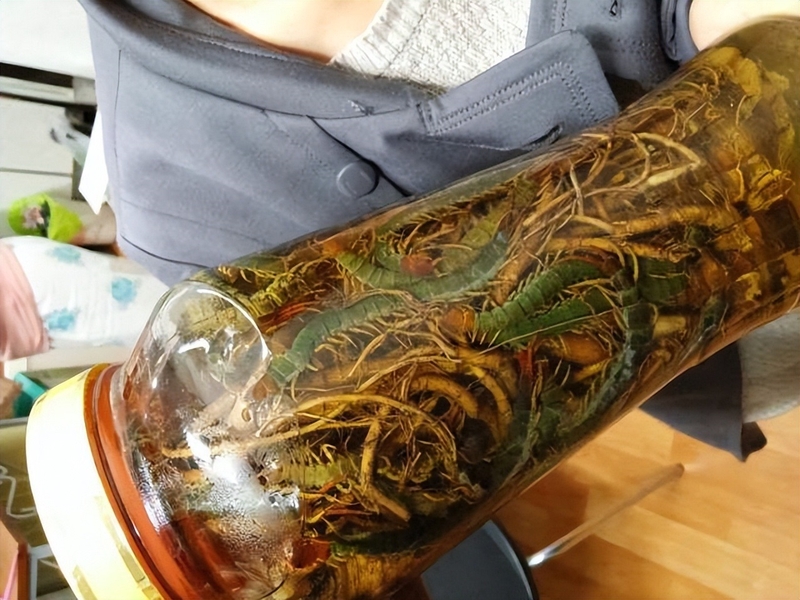 ngộ độc rượu rết 2