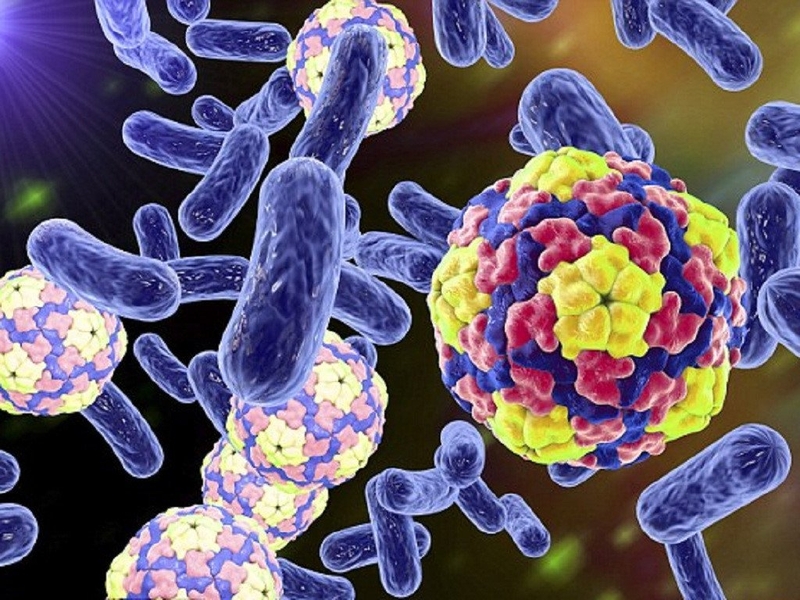 Ngộ độc thực phẩm ở trẻ em: Nguyên nhân, triệu chứng và xử trí 2