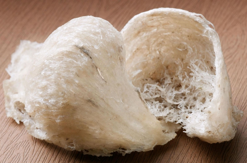 ngộ độc yến 1