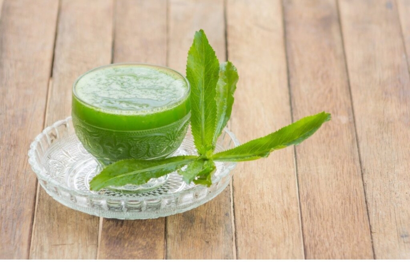 ngo-gai-tri-soi-than 2.jpg