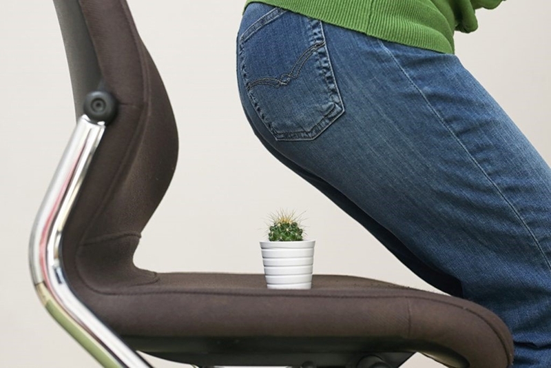 Ngồi nhiều bị trĩ có đúng không? Cần làm gì để hạn chế? 1