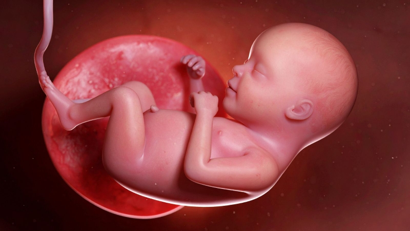 Thai nhi sẽ nằm ở những tư thế bất lợi cho việc sinh thường