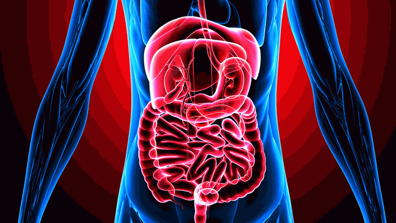 khi nào cần bổ sung ngũ cốc hạt sen 2