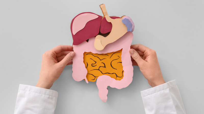 ngu-coc-tao-kiem-la-gi-loi-ich-va-cach-su-dung-dung 2.png