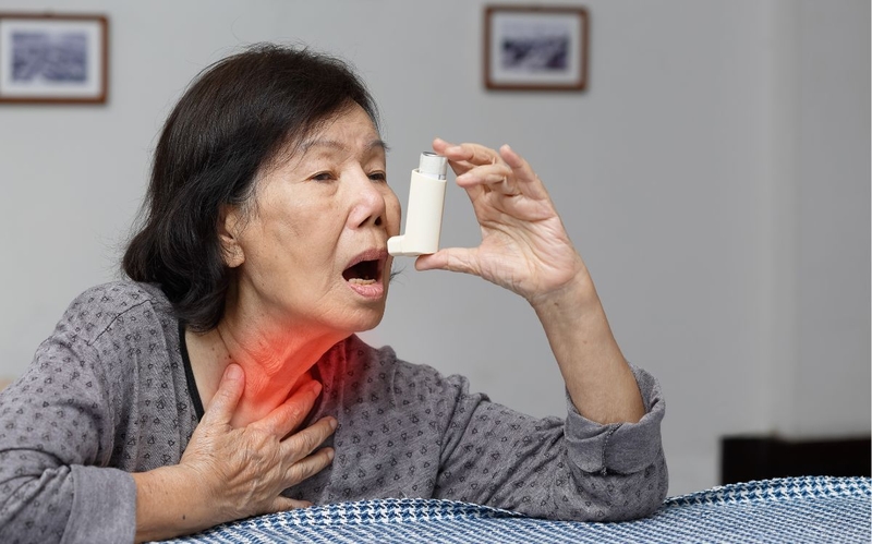 Ngủ với mèo có sao không: Lợi ích và rủi ro cần biết 2