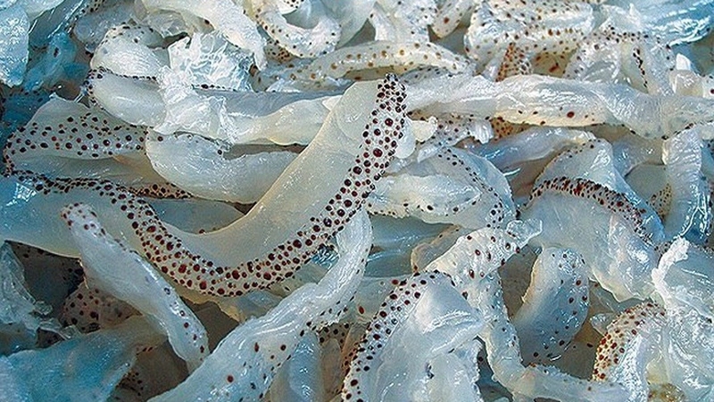 Người bệnh lao hạch nên ăn gì để bồi bổ sức khoẻ 2