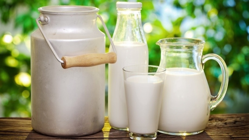 Người bệnh tiểu đường uống sữa bò được không? 2